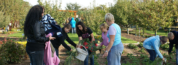 Kleingartenfreunde bei der Pflege eines Obstgartens