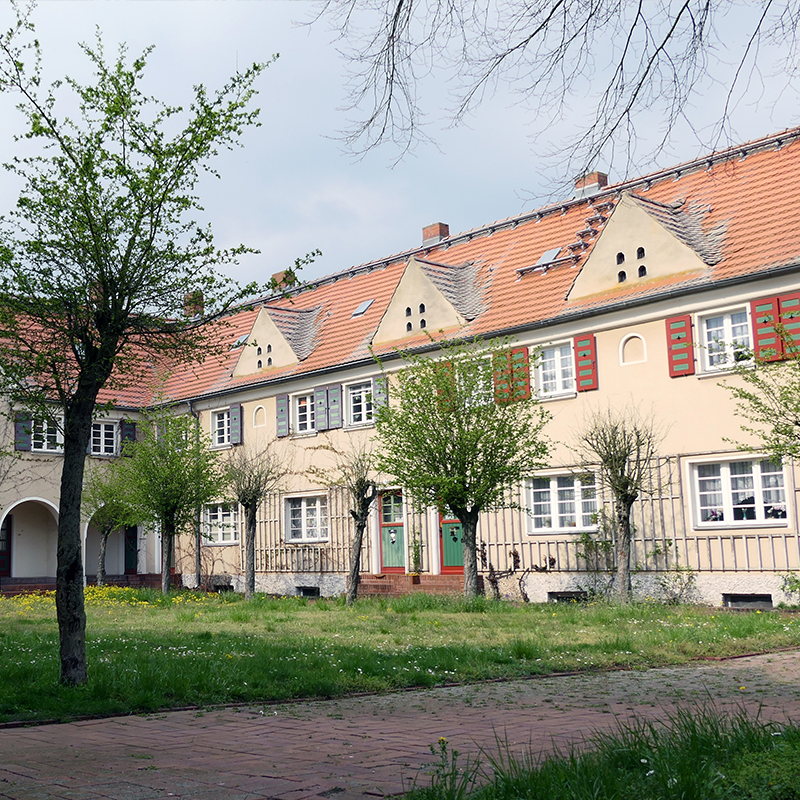 Grüne Oase in Wittenberg
